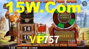 Sports Statistics VIP757
